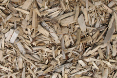 biomass boilers Shiplaw